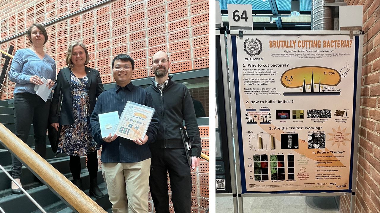 Zhejian Cao, postdoc at BIO, was the winner of the poster competition at Science & Technology Day, here toghether with the members of the jury Alexandra Stubelius, Assistant Professor at BIO, Mia Halleröd Palmgren, communications officer and Andreas Schaefer, researcher at K.