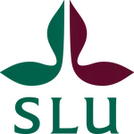 Jerry recently joins SLU